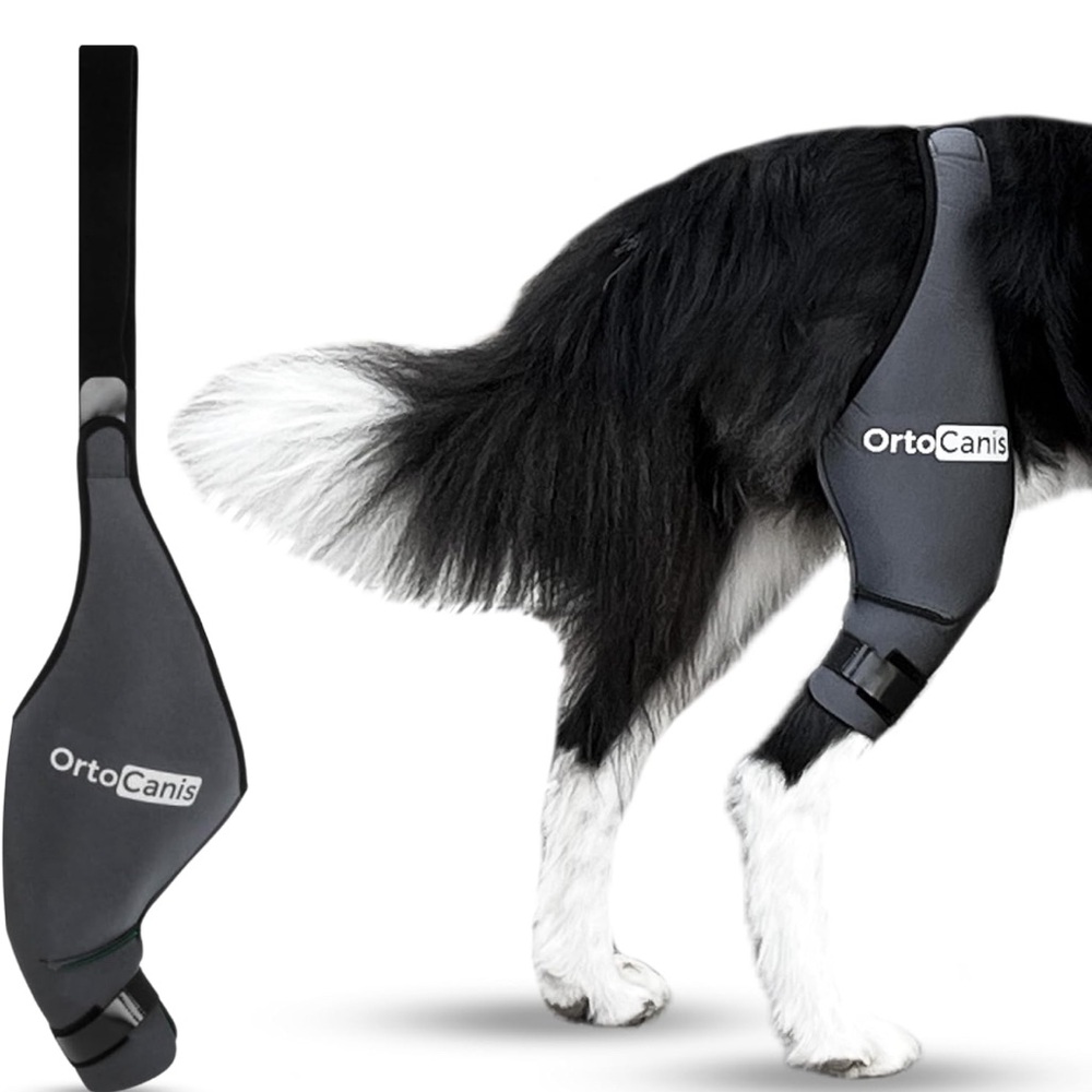 Knee Brace for Dogs Ligament Injuries, Patella Dislocation or Osteoarthr…